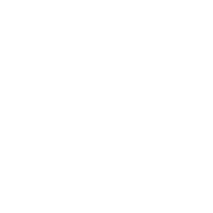 IDENTITEK Logo